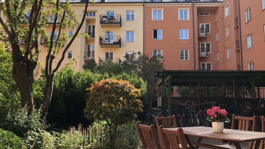 Sommarbild från gården.